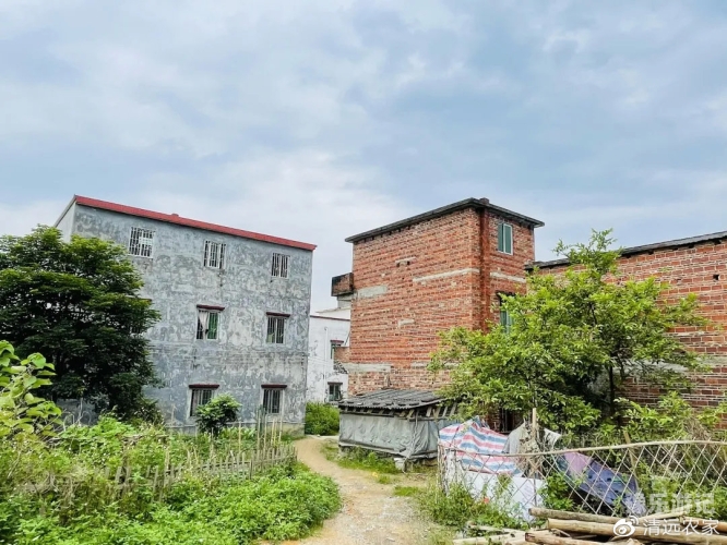 乡村激活情小说免费阅读乡村激活情小说免费阅读大柱