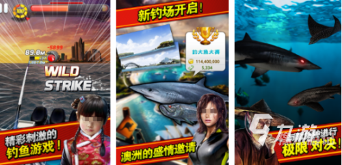 免费单机游戏大全，探索无需联网也能享受的单机版游戏世界单机游戏大全单机版手游