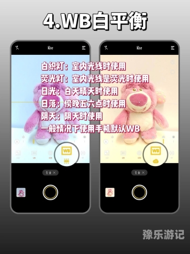手机摄影技巧大揭秘，如何用手机拍出专业级照片手机版word文档