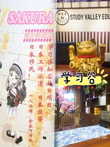 日本高清免费中文字幕，探索跨文化交流的新桥梁