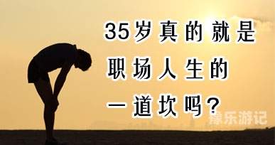 专业之道，在职场与生活中追求卓越的艺术professional是哪个国家品牌