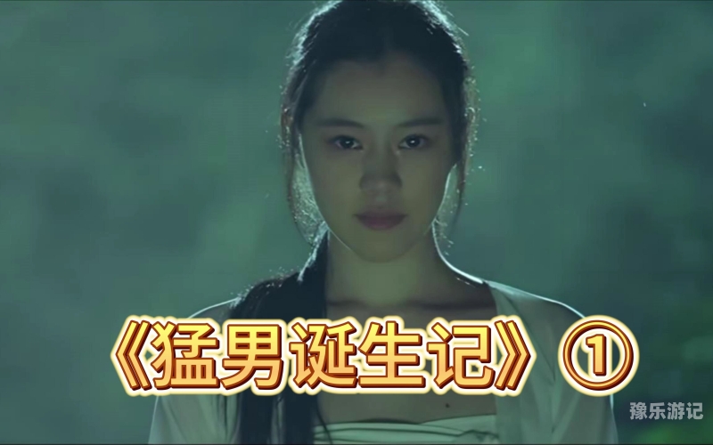 高清论理电影，在线观影新体验，深度解析影片内涵与视觉盛宴高清论理电影在线看