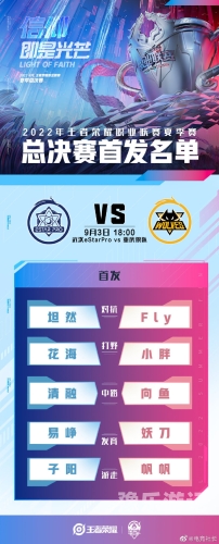 狼队与EStar的巅峰对决，策略、技巧与团队协作的全面解析狼队对埃弗顿