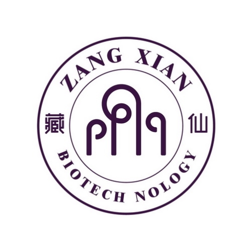 大道藏仙大道藏仙，探索中国传统文化中神秘而深邃的仙境传说