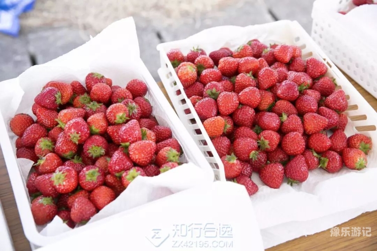 两个 一个扇贝水蜜桃湘潭天气网湘潭天气网，扇贝、水蜜桃与湘潭的不解之缘