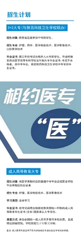 官网探索官网的奥秘，从概念到实践，打造高效在线平台