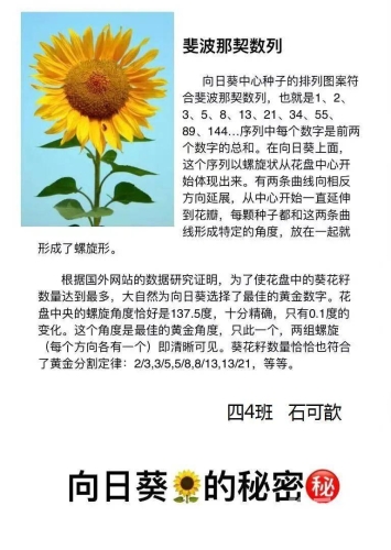 97久久曰曰久久久探索数字世界的奥秘，97久久曰曰久久久背后的文化现象解析