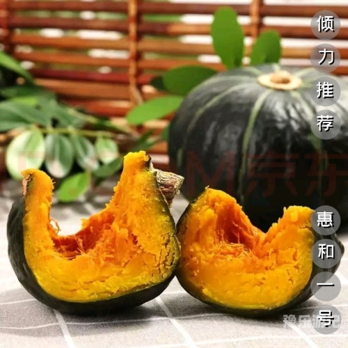 国产精品在线视频平台的发展与影响