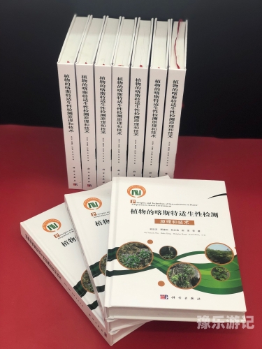 安装安装的艺术与科学，从理论到实践的全面指南
