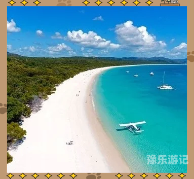 在线 中文 天堂在线中文天堂，探索与发现