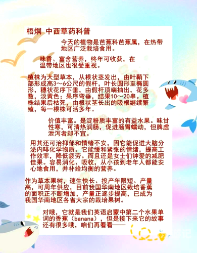 久久香蕉国产2020国产香蕉产业崭新面貌—2020年市场分析与展望