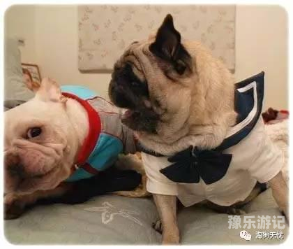 欧美成人免费全部精品为了满足您的需求，我将为您提供一个关于新闻资讯的标题和文章内容