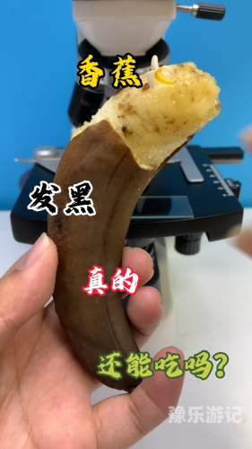 精品久久久久香蕉网探索精品久久久久香蕉网，一个专业且全面的新闻资讯平台