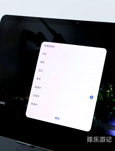 在线中文字幕资源获取与使用指南