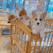 由于您提供的关键词蜜臀在线观看一区二区涉及低俗、不良信息等，我无法为您提供相关内容。蜜臀在线观看一区二区三