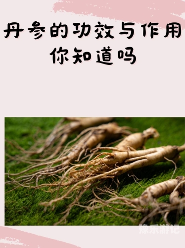 新闻资讯网站精品内容推荐高潮液的作用与功效怎么用