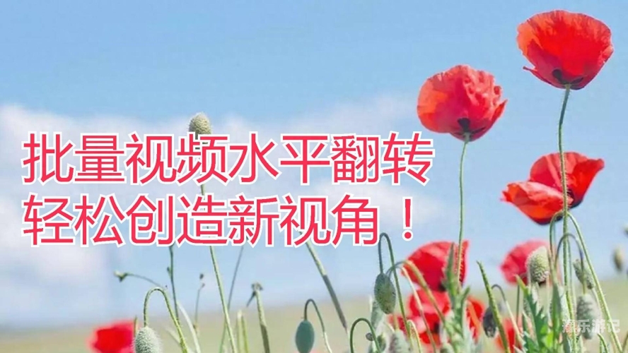 视频一区亚洲视频一区亚洲，探索与理解网络视频文化的新视角