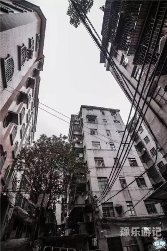 无码在线免费无码在线免费资源，新闻资讯网站的新趋势