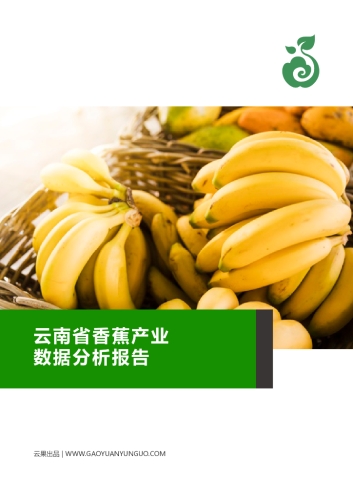 新闻资讯网站独家报道，伊人久久久香线与香蕉产业深度解析精品伊人久久久香蕉—中字一区