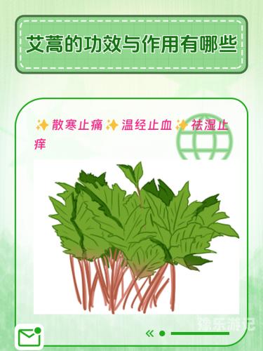 国产艾草精品的在线观看与文化价值在线安国产
