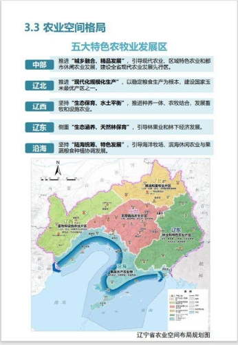 手机在线专区，一区与二区的特色与使用指南一区手机版