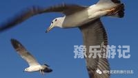 亚洲日韩欧美综合，多元文化背景下的新闻观察老年夫妻同房干涩没水怎么治