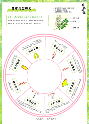 探索久性片的奥秘，材料、应用与未来发展