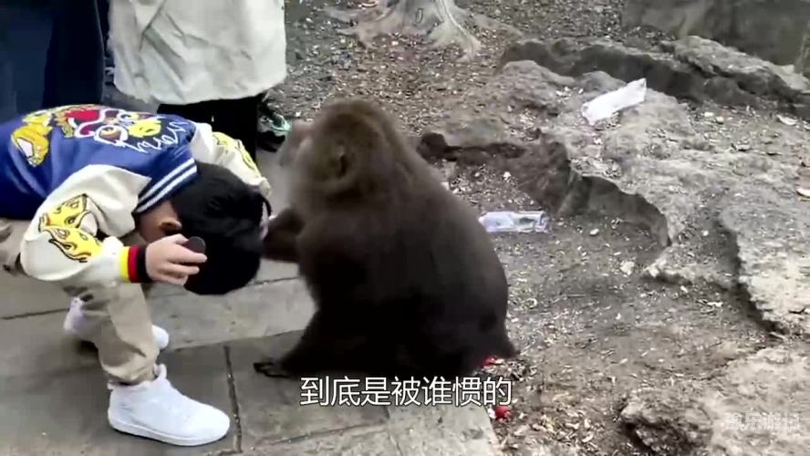 人人鲁人人莫人人爱精品人人鲁人人莫人人爱精品，深度解析与新闻报道