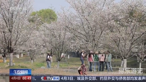 亚洲午夜在线x88v新闻资讯网站编辑文章范例