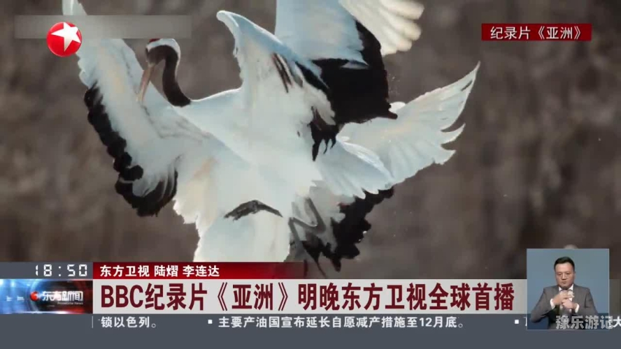 亚洲台湾佬中文无码网台湾地区文化与语言魅力