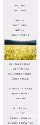 精品免费在线精品免费在线新闻资讯平台，让信息触手可及