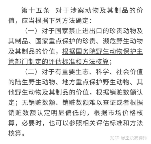 三级中文字幕在线播放资源及其影响分析中文三饭