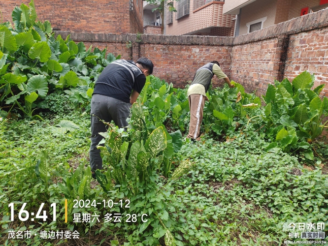 无毒高清无码中文字幕资源分享与安全观看指南