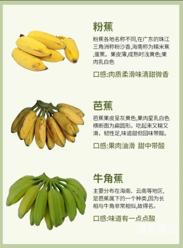 国产香蕉久久精品综合网国产香蕉品牌的发展与市场分析