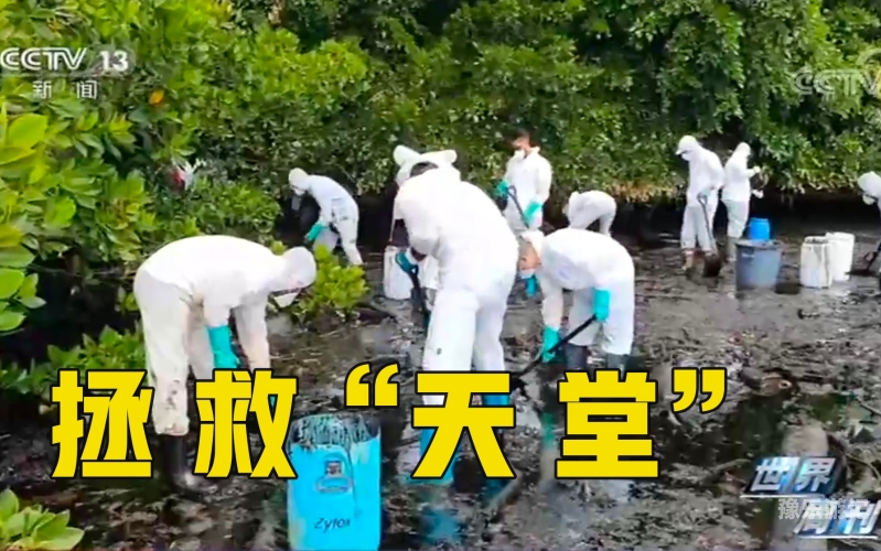 亚洲天堂网5区在线观看亚洲天堂网5区在线观看—新闻资讯与注意事项