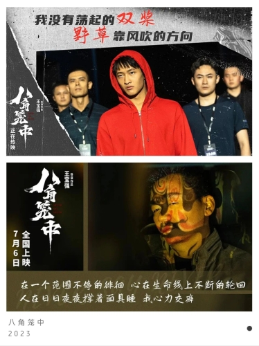 建议，国产电影的魅力与影响