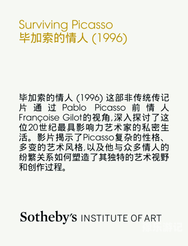 国产电影的魅力，探索正规文化与艺术