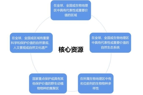 新闻资讯网站内容规范与优质资源推荐99re6d