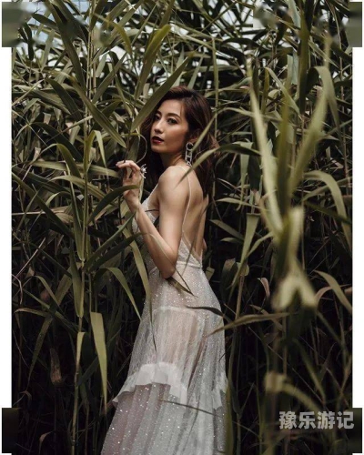 无码少妇精品在线视频新闻资讯网站内容规范与健康网络环境构建